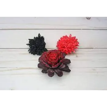 Famous Shola Flower